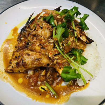 Burramundi_wings