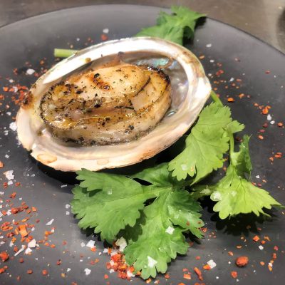 Green-Lip-Abalone
